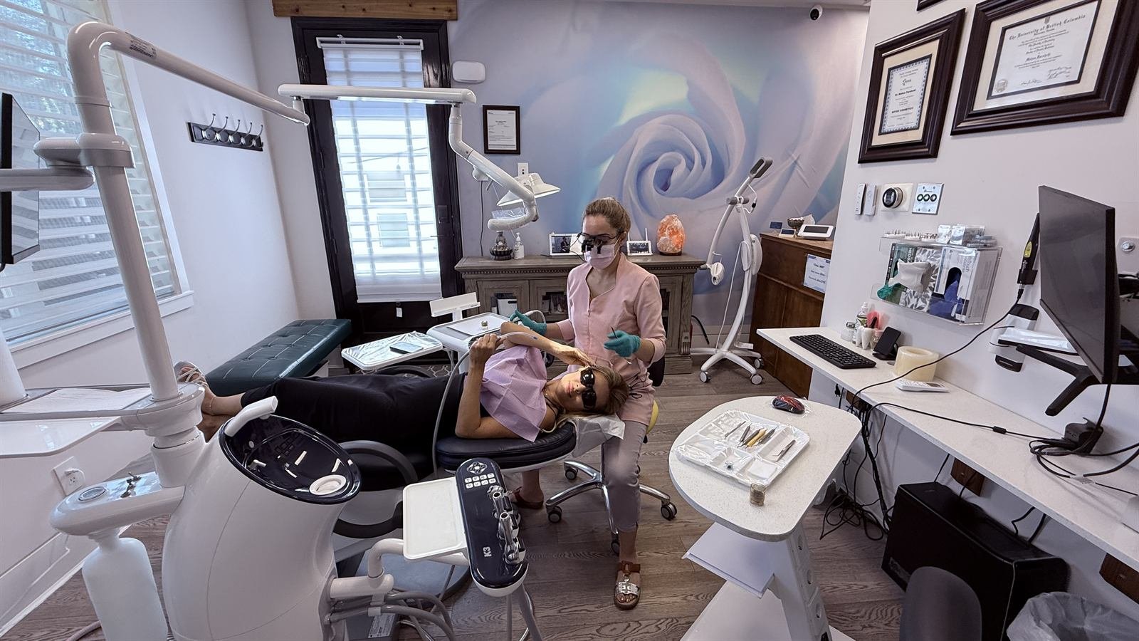 Dr. Mahsa Farshchi inside Edgemont Dentist